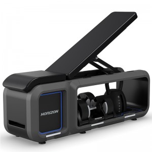 HORIZON HBN70 ΠΑΓΚΟΣ ΓΥΜΝΑΣΤΙΚΗΣ Strength