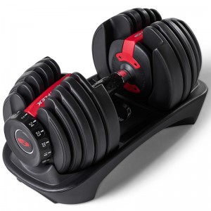 BOWFLEX 552I ΡΥΘΜΙΖΟΜΕΝΟΣ ΑΛΤΗΡΑΣ 24KG Strength
